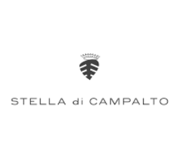 (image for) Stella di Campalto BRUNELLO DI MONTALCINO PICCOLI CONTENITORI 2016 [GL ]
